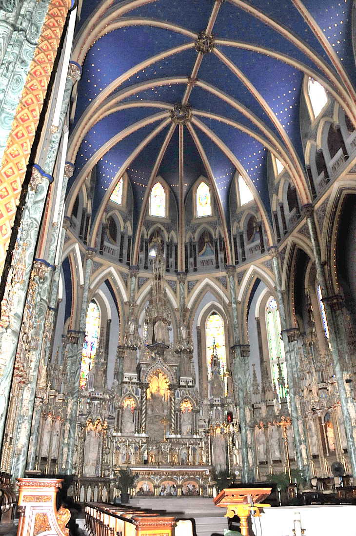 2016-7-25canadaherb 251_01.JPG