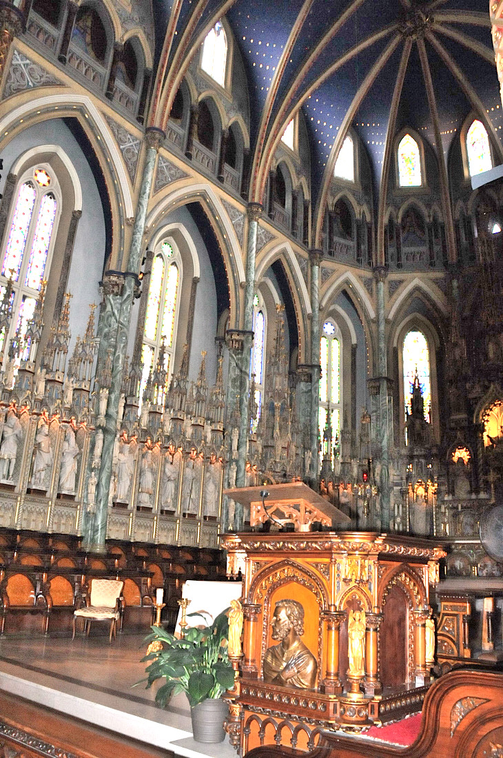 2016-7-25canadaherb 252_01.JPG