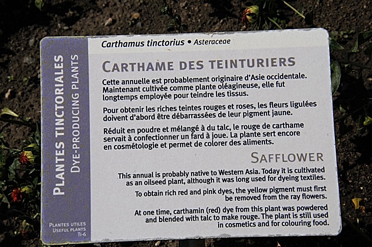 2016-7-25canadaherb 3569_01.JPG