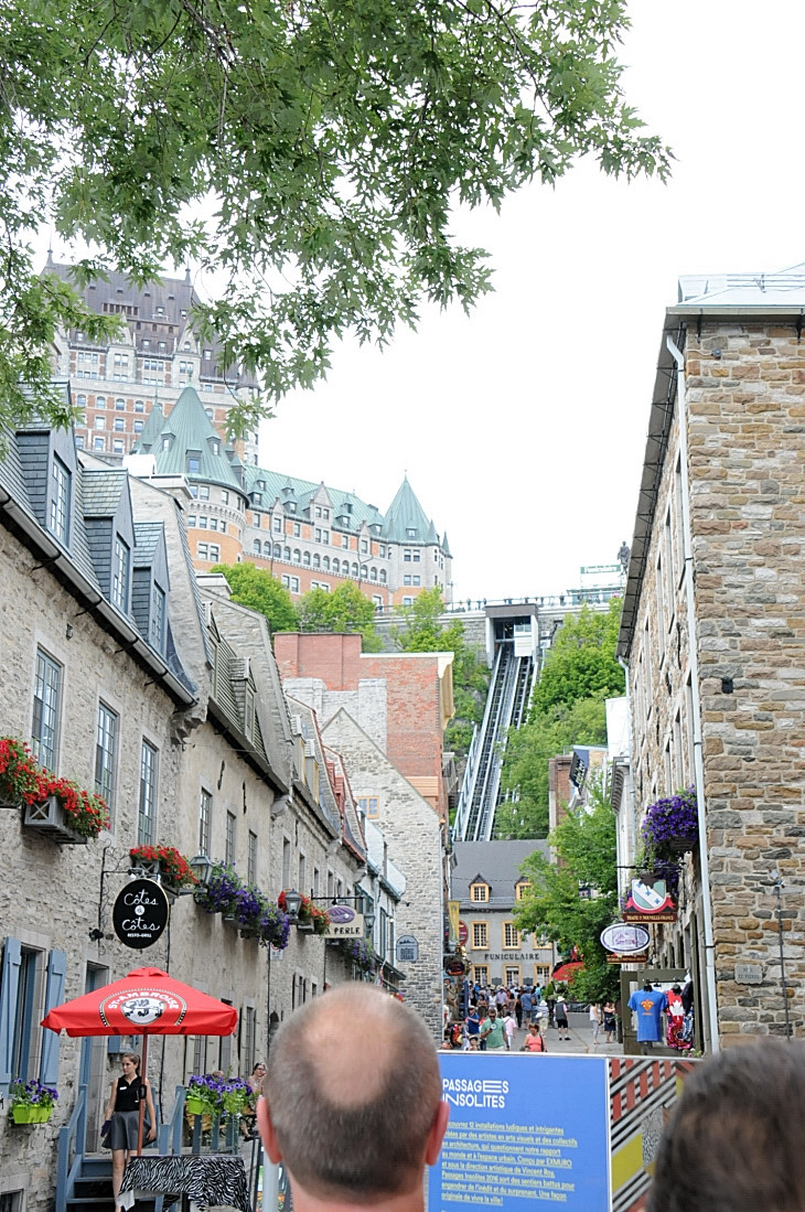 2016-7-25canadaherb 2542_01.JPG