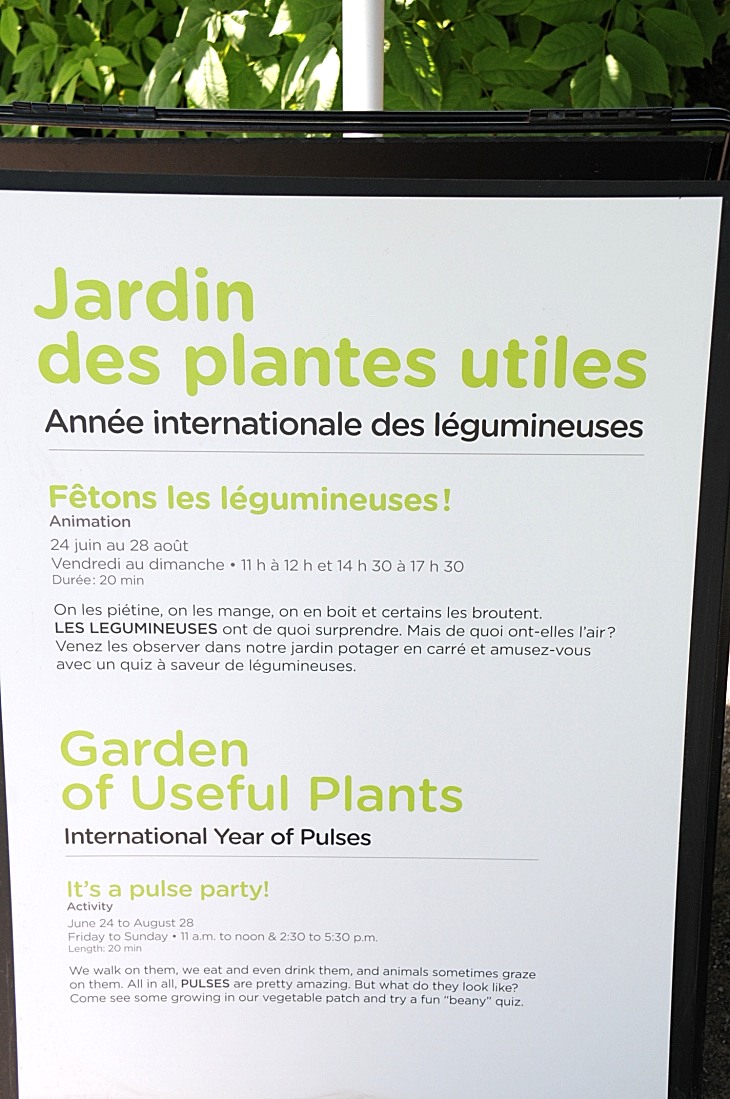 2016-7-25canadaherb 3471_01.JPG