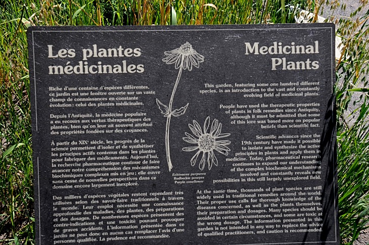 2016-7-25canadaherb 3778_01.JPG