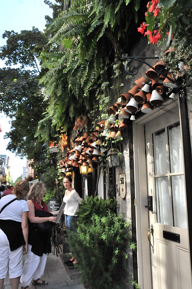 2016-7-25canadaherb 2815_01.JPG