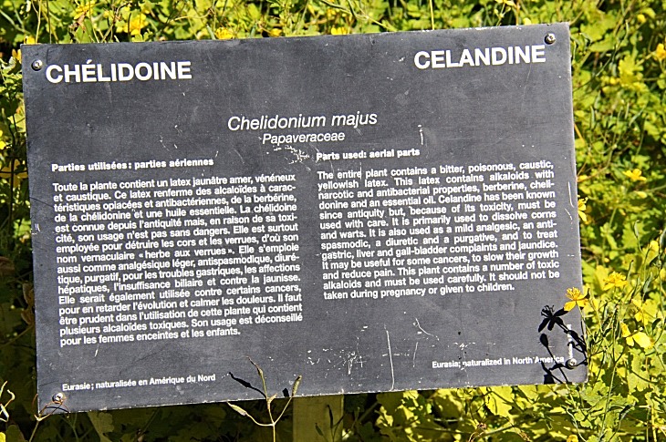 2016-7-25canadaherb 3823_01.JPG