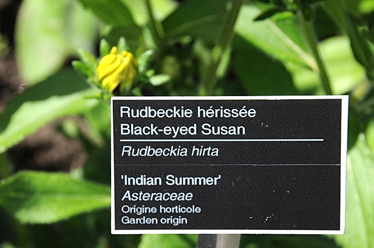 2016-7-25canadaherb 3560_01.JPG