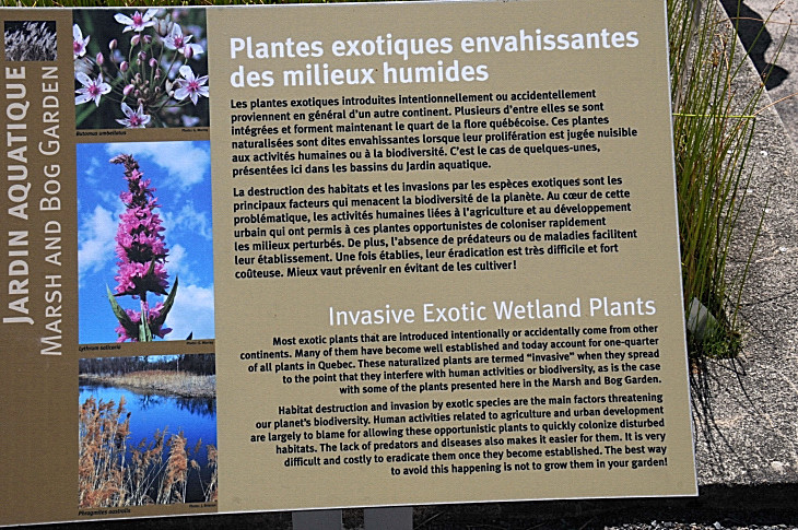 2016-7-25canadaherb 4249_01.JPG