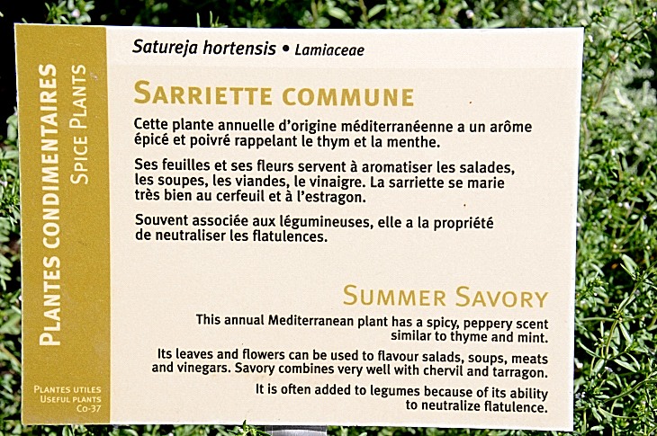 2016-7-25canadaherb 3177_01.JPG