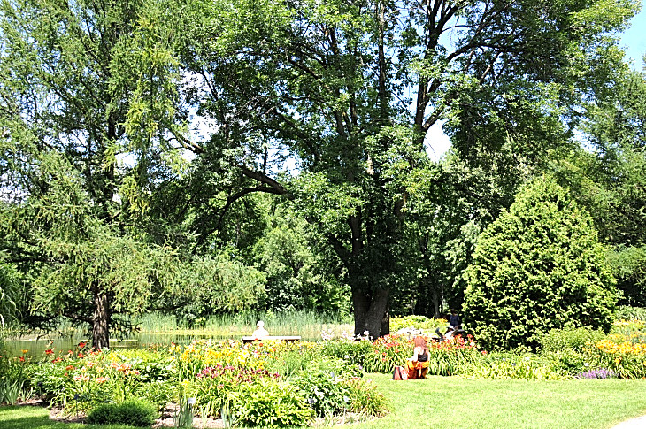 2016-7-25canadaherb 4138_01.JPG