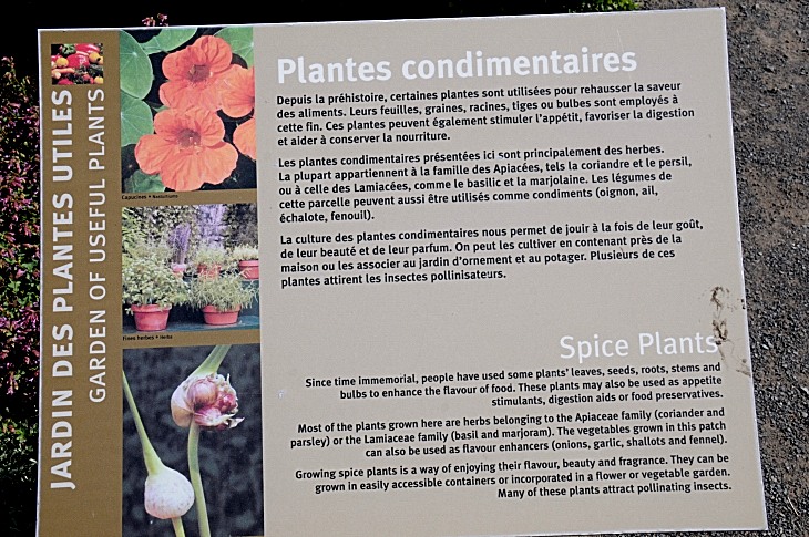 2016-7-25canadaherb 3028_01.JPG