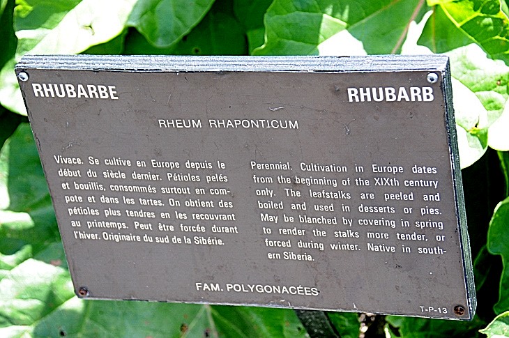 2016-7-25canadaherb 3462_01.JPG
