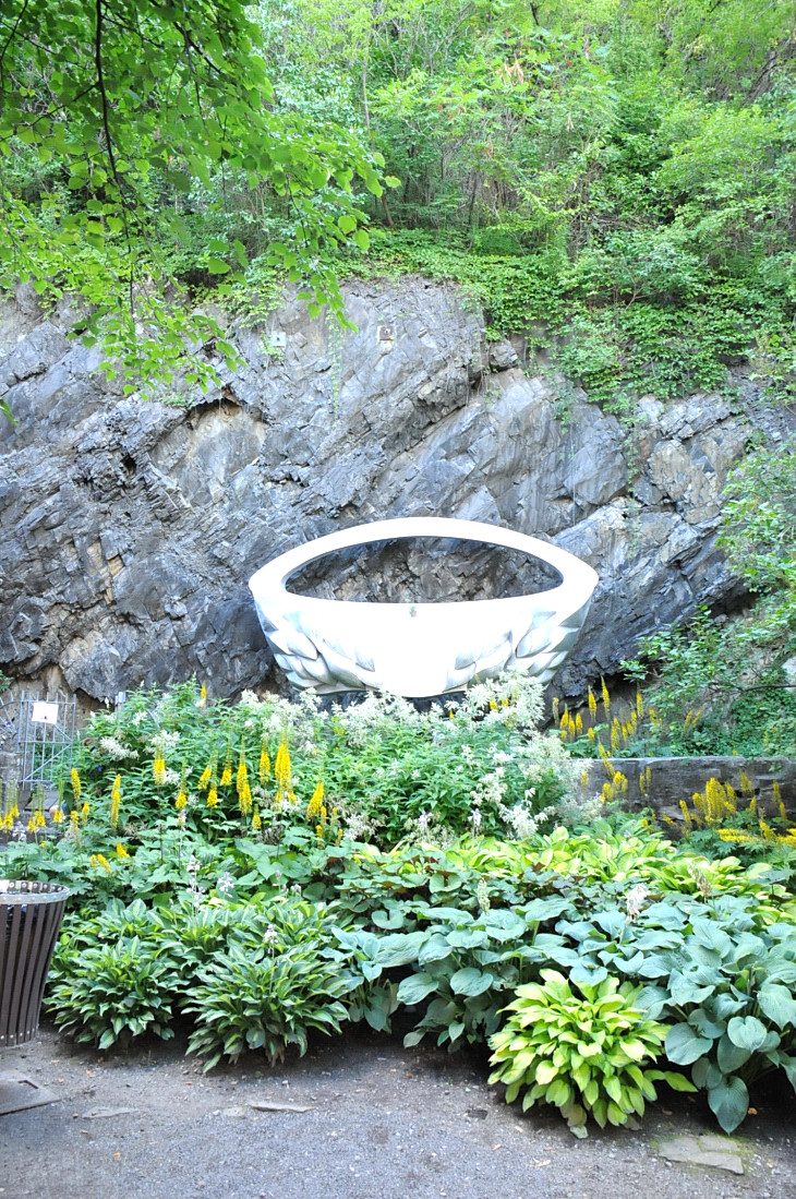 2016-7-25canadaherb 2823_01.JPG