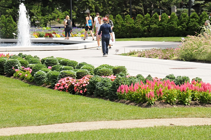 2016-7-25canadaherb 4316_01.JPG