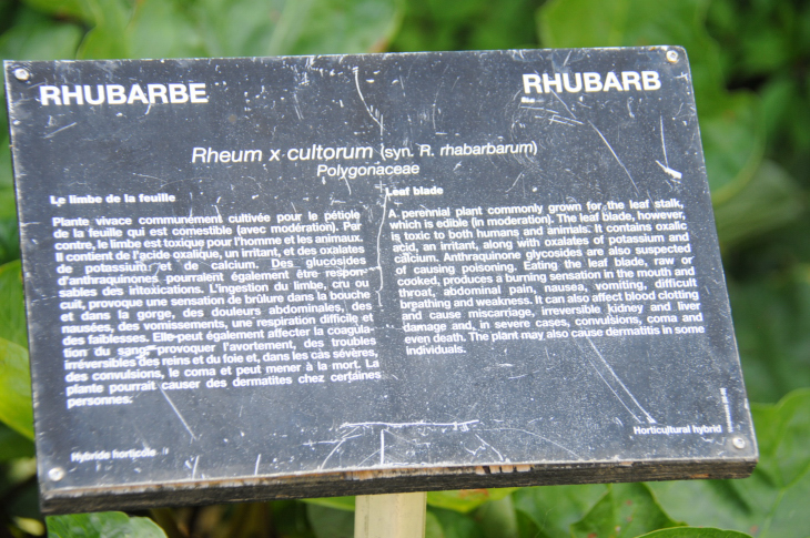 2016-7-25canadaherb 4046_01.JPG