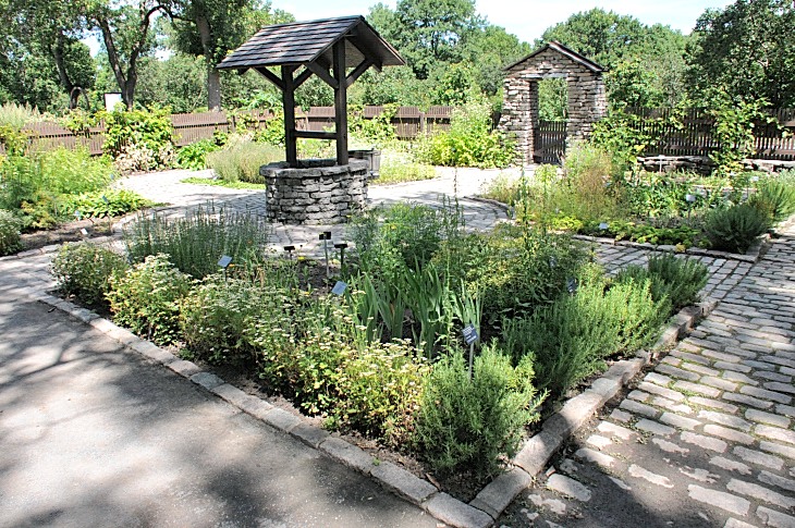 2016-7-25canadaherb 3766_01.JPG