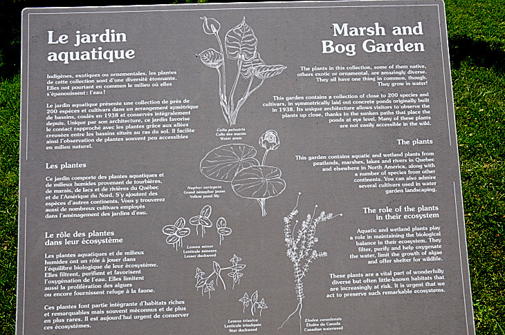 2016-7-25canadaherb 4251_01.JPG