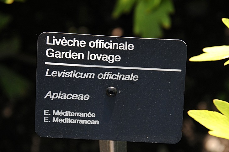 2016-7-25canadaherb 3459_01.JPG