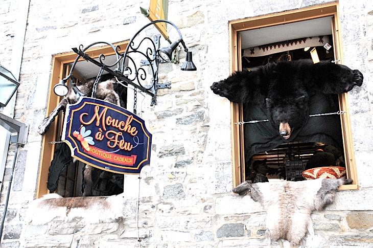 2016-7-25canadaherb 2573_01.JPG