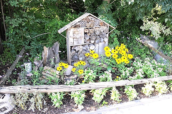 2016-7-25canadaherb 3241_01.JPG