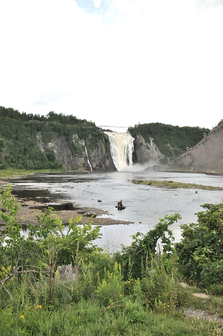 2016-7-25canadaherb 2598_01.JPG