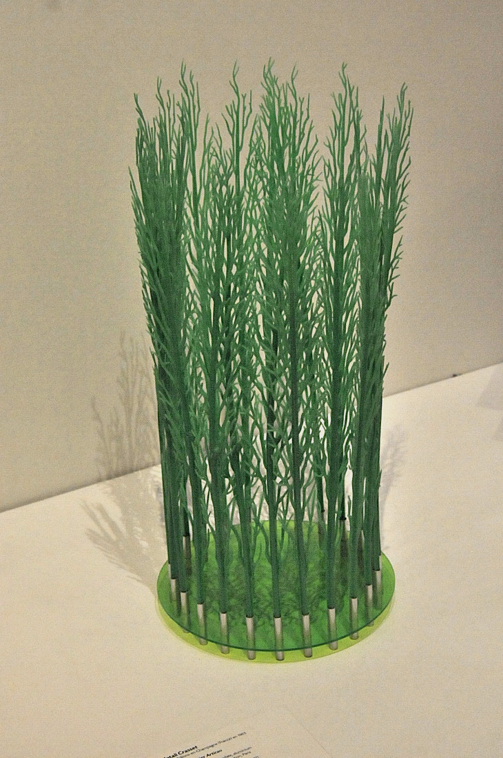 2016-7-25canadaherb 1981_01.JPG