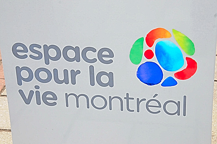 2016-7-25canadaherb 4322_01.JPG