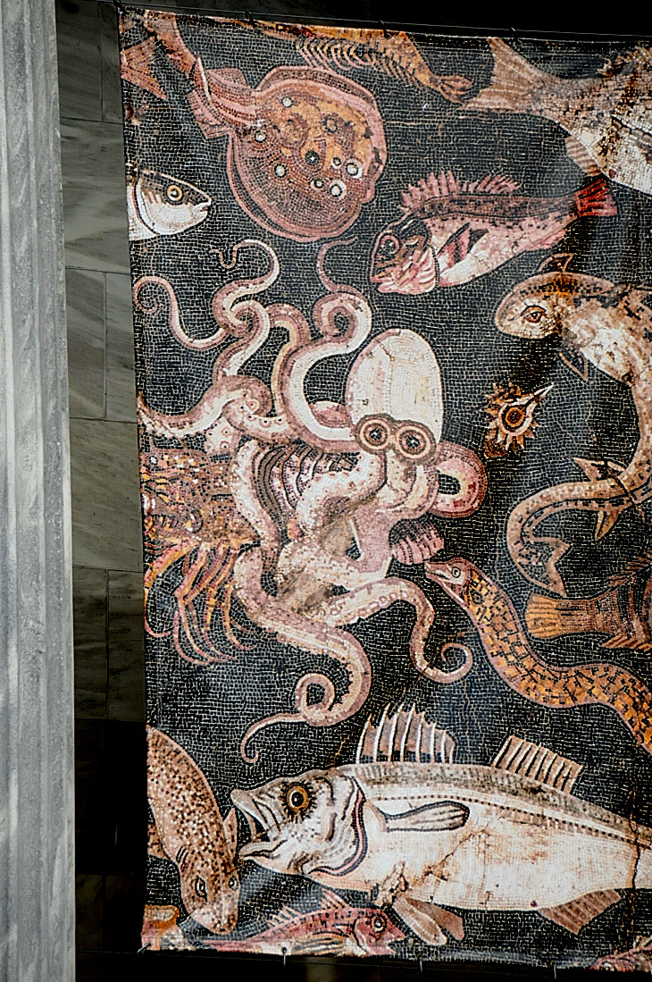 2016-7-25canadaherb 1623_01.JPG