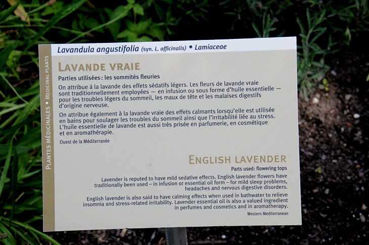 2016-7-25canadaherb 3871_01.JPG