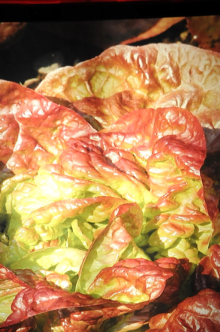 2016-7-25canadaherb 4116_01.JPG