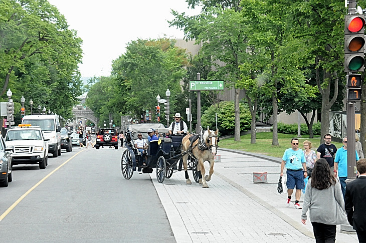 2016-7-25canadaherb 2622_01.JPG