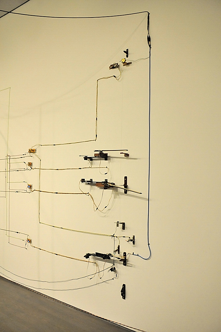 2016-7-25canadaherb 2491_01.JPG