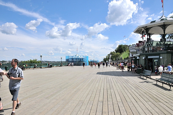 2016-7-25canadaherb 2798_01.JPG