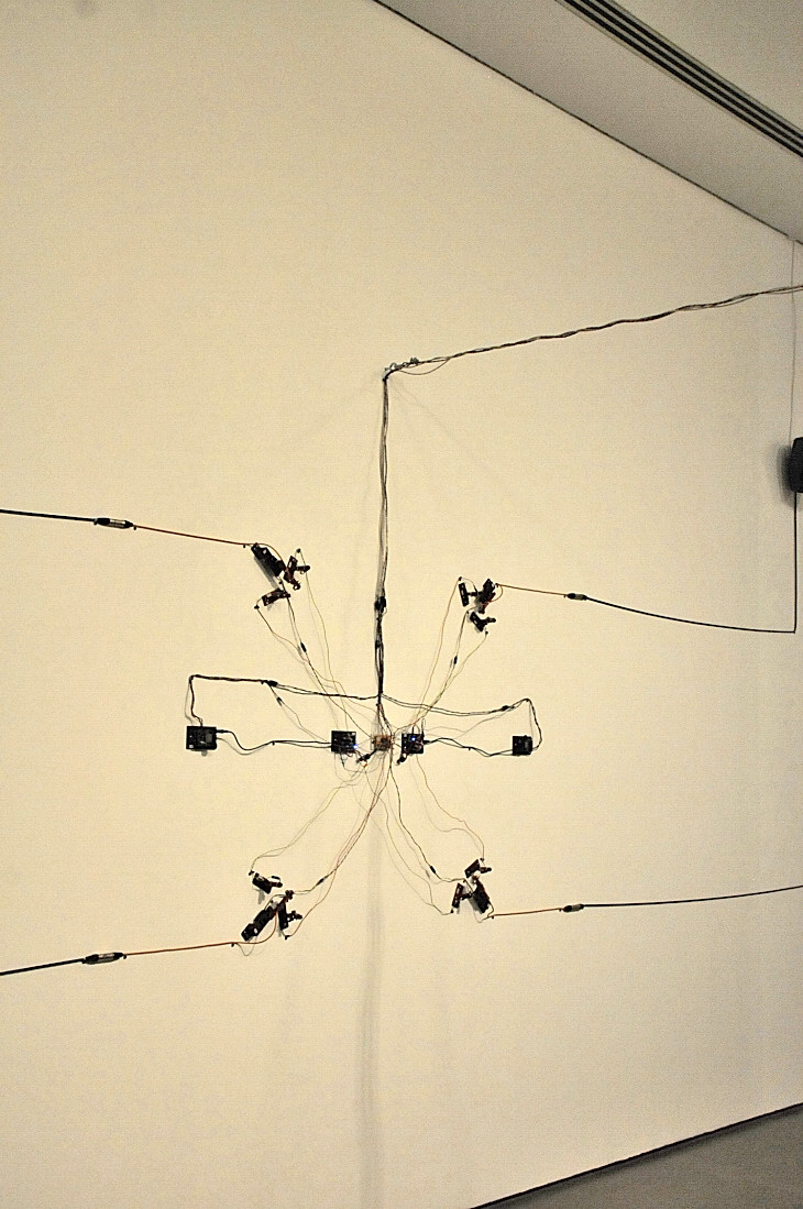 2016-7-25canadaherb 2495_01.JPG