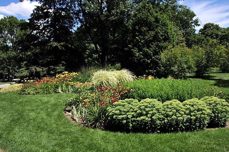 2016-7-25canadaherb 4134_01.JPG