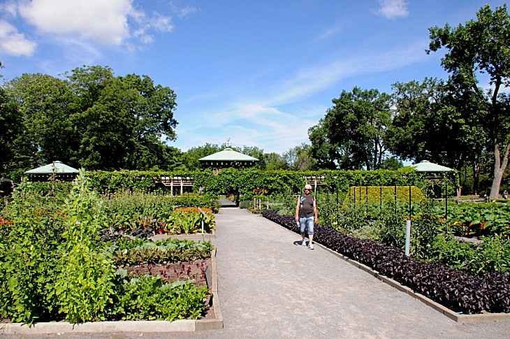 2016-7-25canadaherb 3266_01.JPG