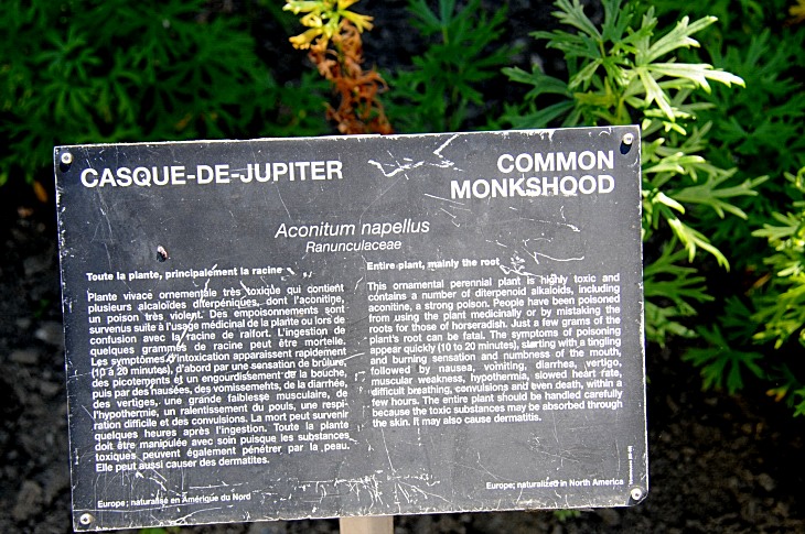 2016-7-25canadaherb 4056_01.JPG