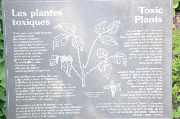 2016-7-25canadaherb 4042_01.JPG