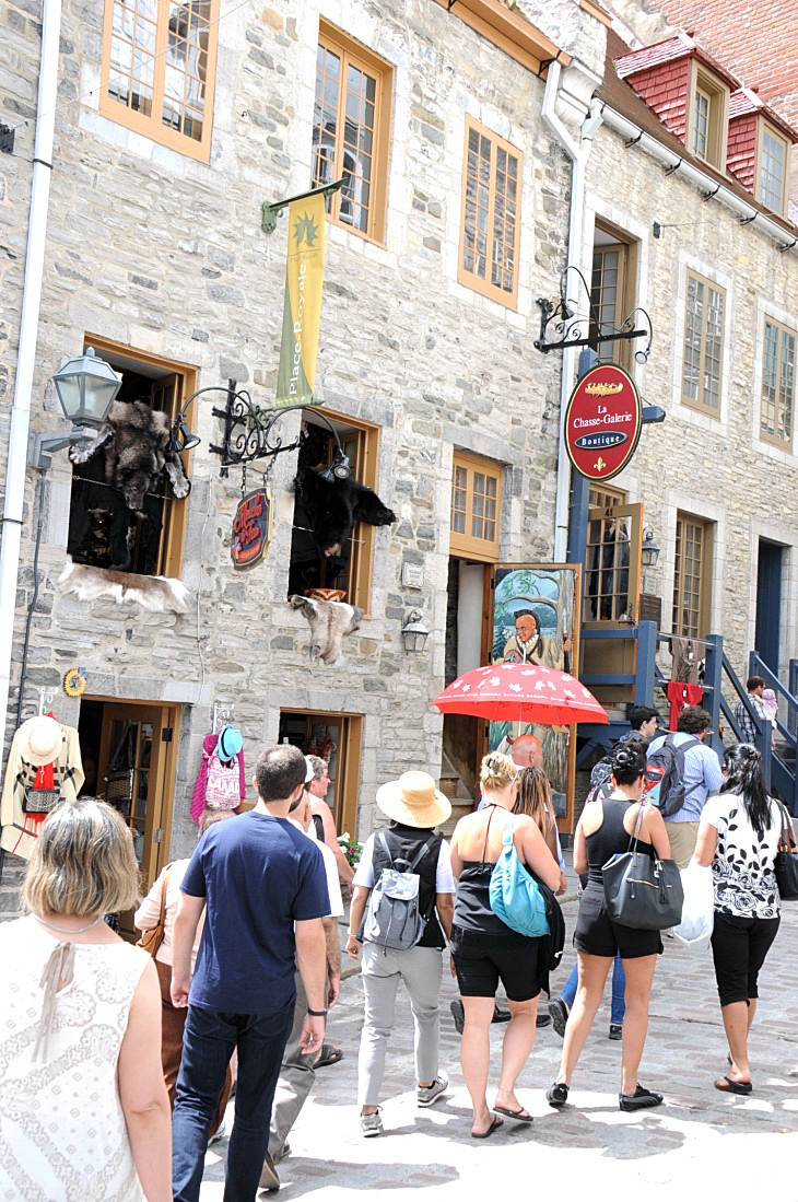 2016-7-25canadaherb 2572_01.JPG