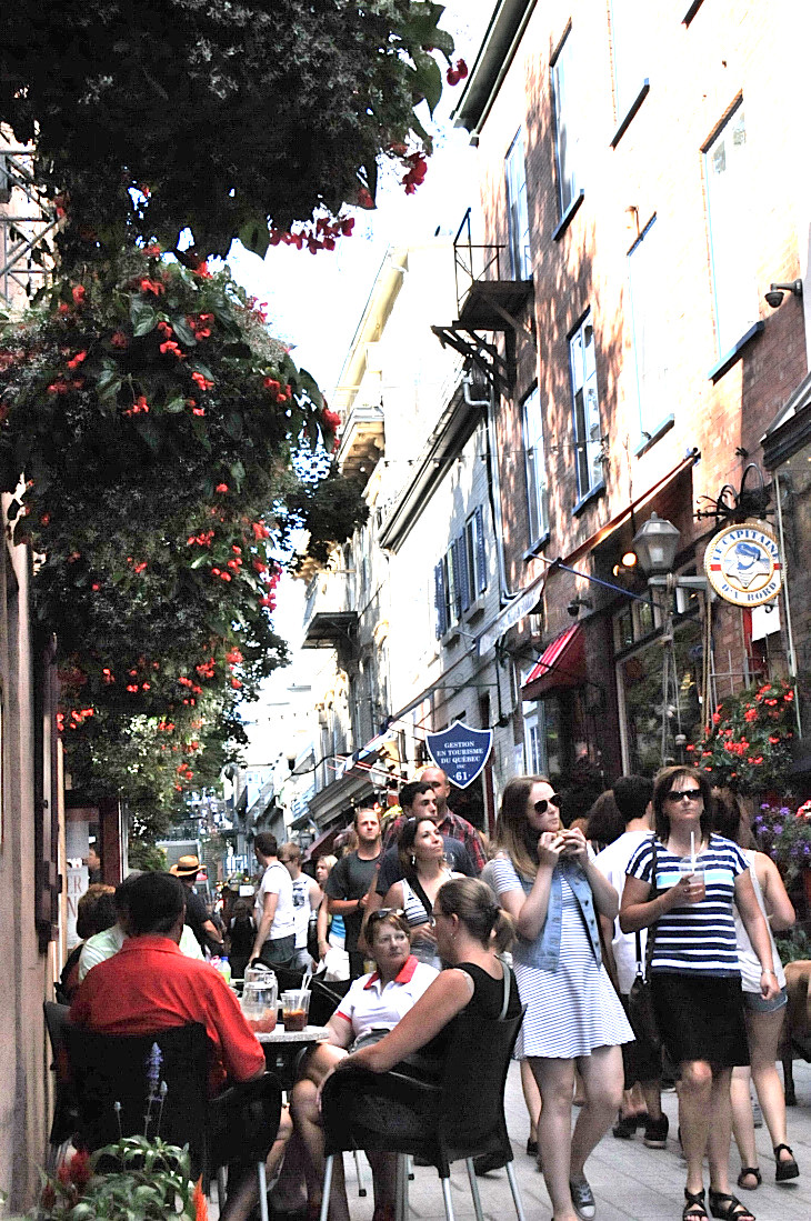 2016-7-25canadaherb 2844_01.JPG