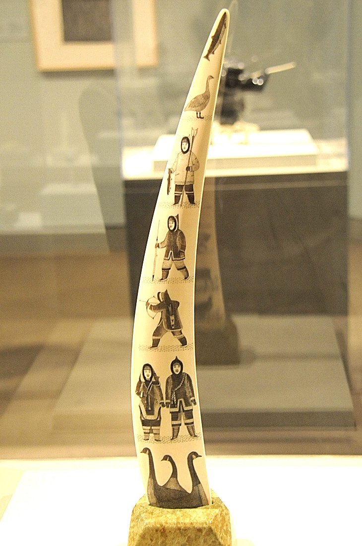 2016-7-25canadaherb 678_01.JPG