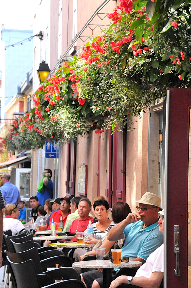 2016-7-25canadaherb 2841_01.JPG