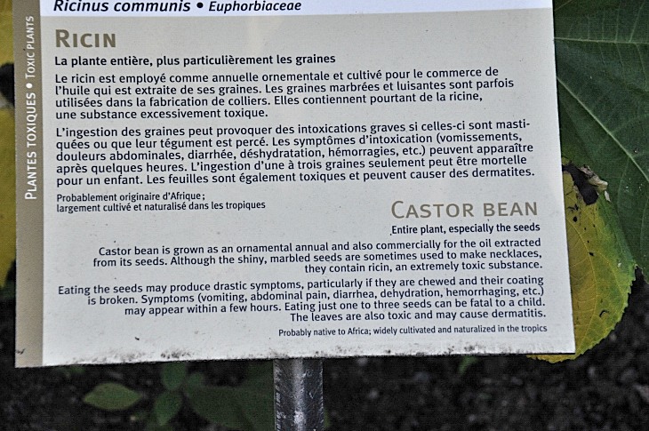 2016-7-25canadaherb 4064_01.JPG