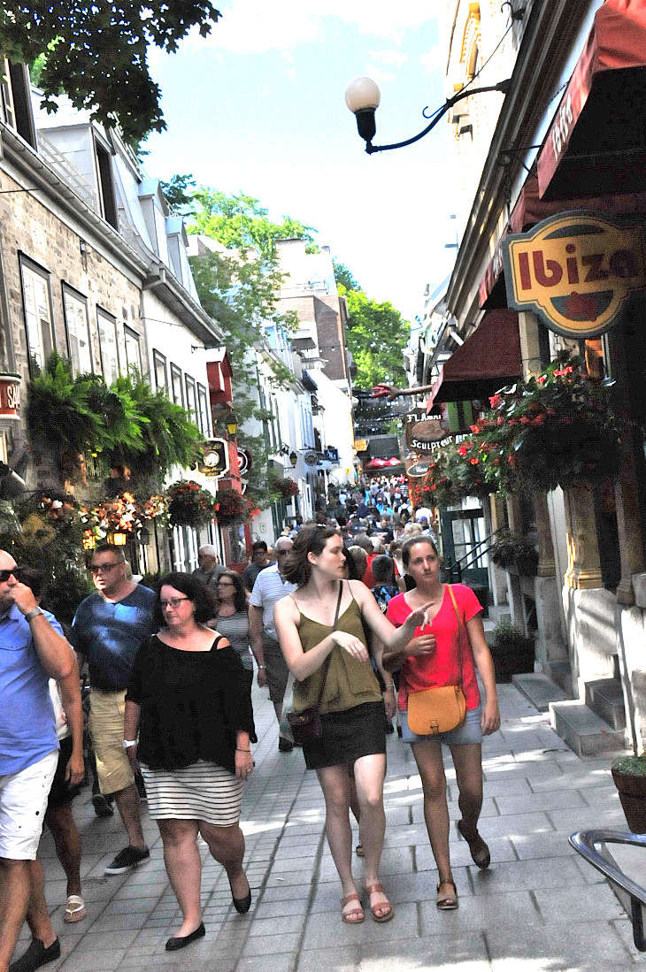 2016-7-25canadaherb 2839_01.JPG