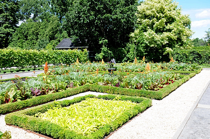 2016-7-25canadaherb 4122_01.JPG
