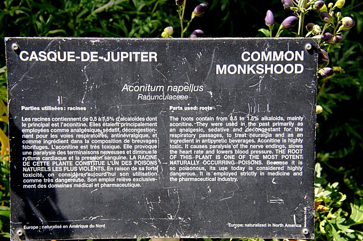 2016-7-25canadaherb 3853_01.JPG