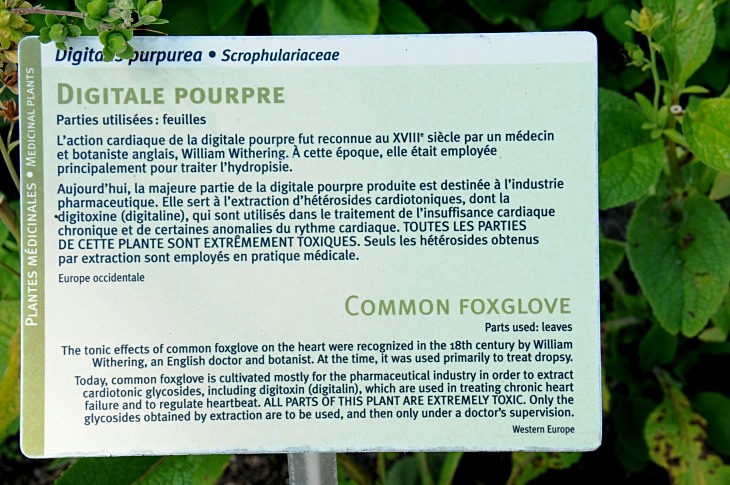 2016-7-25canadaherb 3842_01.JPG