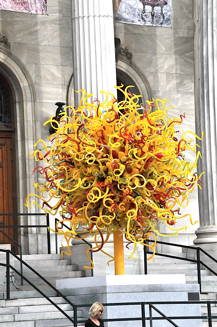 2016-7-25canadaherb 1616_01.JPG