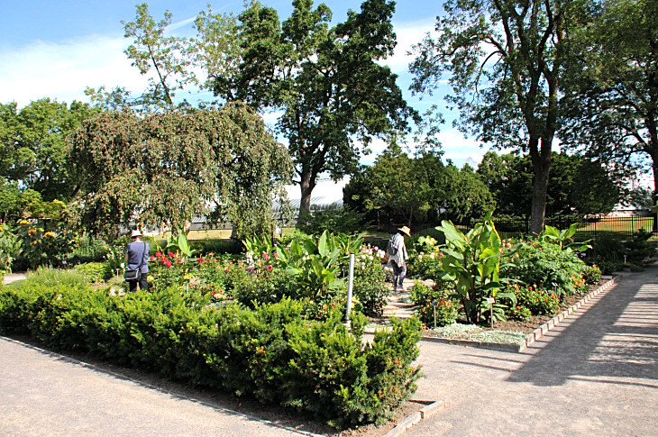 2016-7-25canadaherb 2878_01.JPG