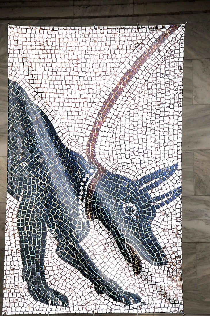 2016-7-25canadaherb 1622_01.JPG