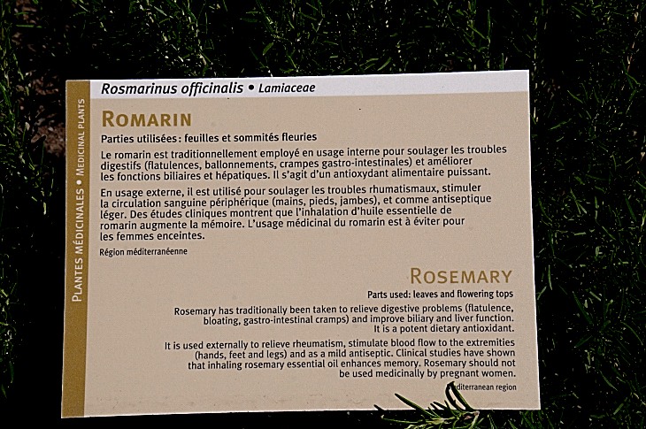 2016-7-25canadaherb 3850_01.JPG
