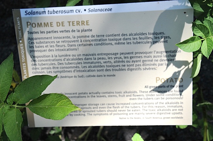 2016-7-25canadaherb 4048_01.JPG